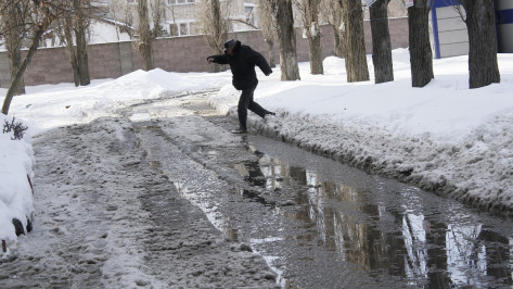 Метеорологи: циклон «Виктория» не коснется Воронежской области