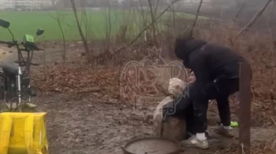 Спасение собаки из ямы сняли на видео в Воронеже