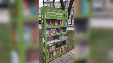 На Петровской набережной в Воронеже появится точка книгообмена