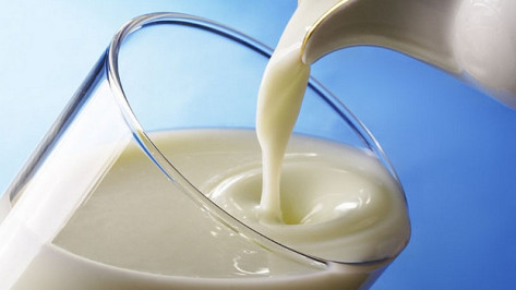 Хохольские коровы дают по 50 литров молока в день