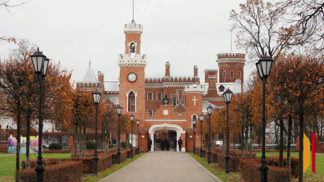 В Воронежской области объявили повторные торги на благоустройство Нижнего парка у Дворца Ольденбургских