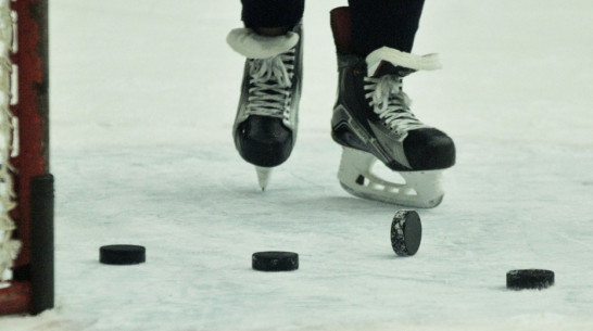 «Буран» проиграл казанскому «Барсу» в Воронеже