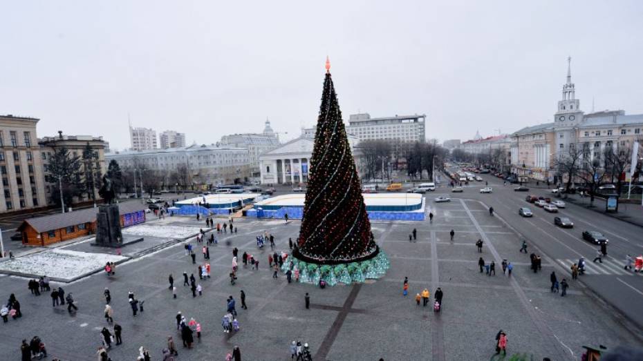 Мэрия Воронежа заплатит за установку главной елки максимальную цену