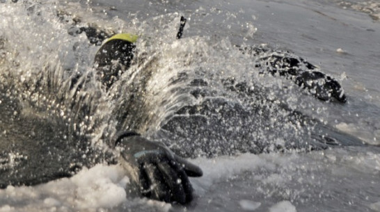 В Таловском районе на дне реки нашли тело мужчины