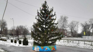 В грибановском селе Нижний Карачан установили 7-метровую новогоднюю ель