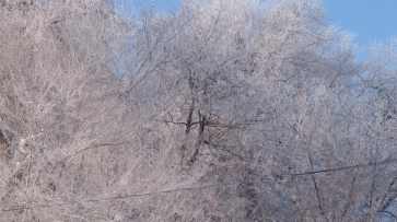 Снегопад оставил без света жителей пяти районов Воронежской области