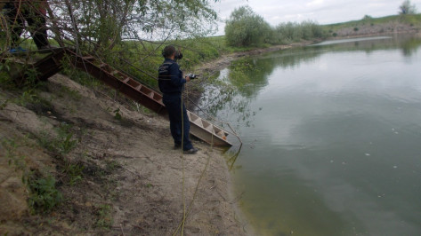 Тело пропавшего 9 мая жителя Воронежской области нашли в пруду