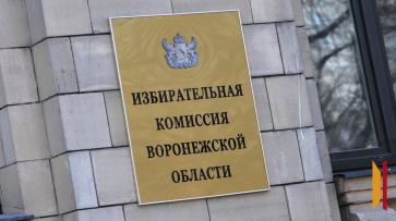 Воронежский облизбирком утвердил новый состав территориальных избирательных комиссий