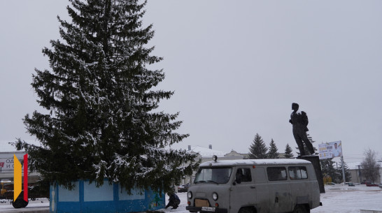 В Острогожске супруги Котовы подарили городу 17-метровую ель