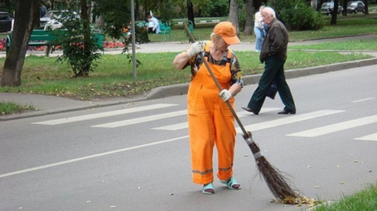 Власти Воронежа пожаловались на нехватку дворников