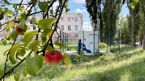 В Воронеже установили 4 поста мониторинга воздуха