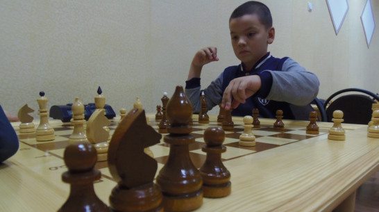 Верхнемамонский шахматный клуб переехал во Дворец детей и юношества