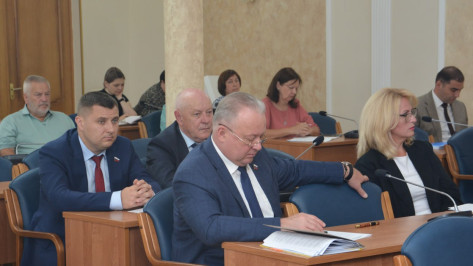 Контрольно-счетная палата Воронежа за год зафиксировала нарушений на 3 млрд рублей