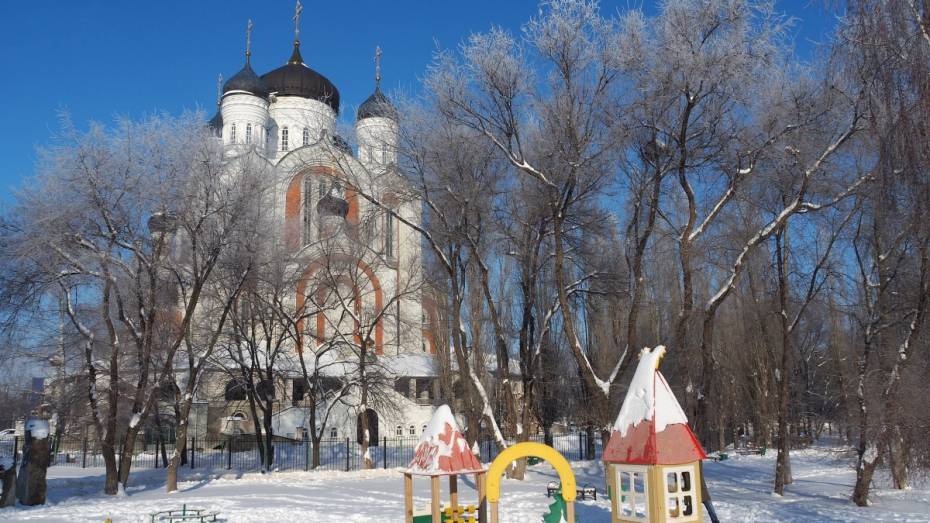 Воронежцев ждут снежные и морозные выходные