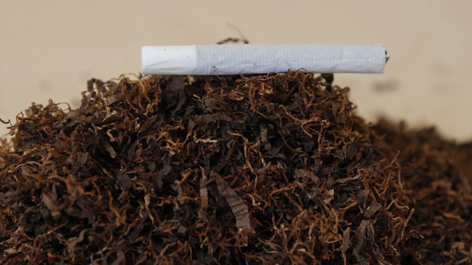 В Воронеже трое мужчин ответят в суде за продажу поддельного табака