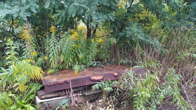 Дачники захламили берег реки Тавровка в Воронеже