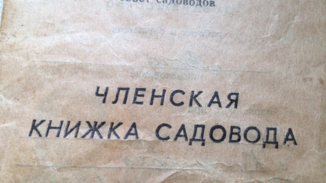 В Воронеже на фиктивных справках попался глава садоводческого товарищества