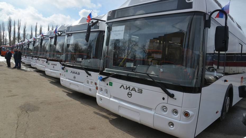 Воронеж и Липецк связал новый автобусный маршрут