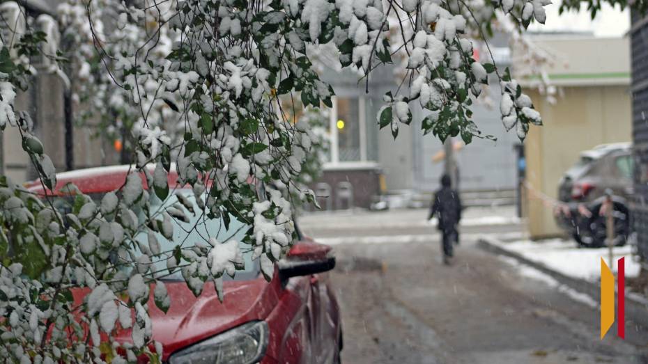 Воронежцев предупредили о сильном ветре в ночь на 13 декабря