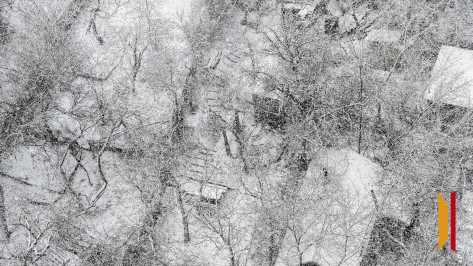 Воронежцев предупредили о сильном ветре и метели 26 и 27 декабря