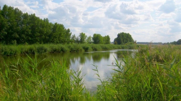 В Воронежской области водолазы нашли тело утонувшего мужчины через 6 дней