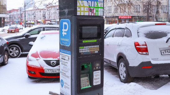 Воронежских водителей за год оштрафовали на 173 млн рублей за неоплату парковки