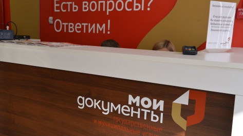 МФЦ Воронежской области сообщил о техническом сбое на сайте