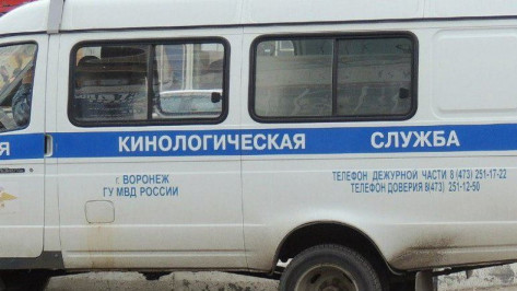 В Воронеже 300 человек эвакуировали после сообщения о бомбе в ДК «Шинник»