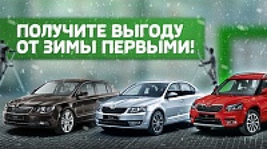 Воронежцы получат зимнюю резину в подарок от «Ринг Север»