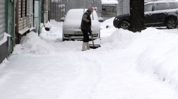 Синоптики рассказали, сколько снега выпало в Воронеже