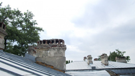 УК обязали отремонтировать оголовки на крыше одного из домов архитектурного ансамбля ВГАУ