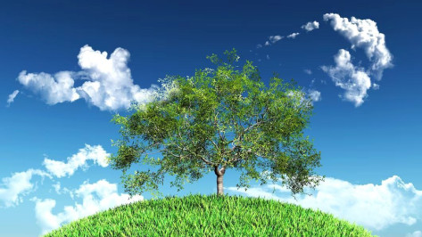 МегаФон внедрил систему цифрового экологического мониторинга за рубежом