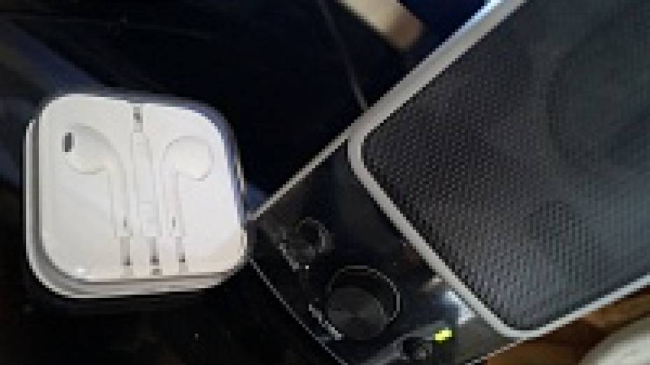 В рейтинге музыкальных вкусов воронежцев лидирует Стас Михайлов