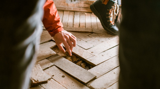 Воронежские художницы раскрыли «секретик» бывшей редакции газеты «Коммуна»