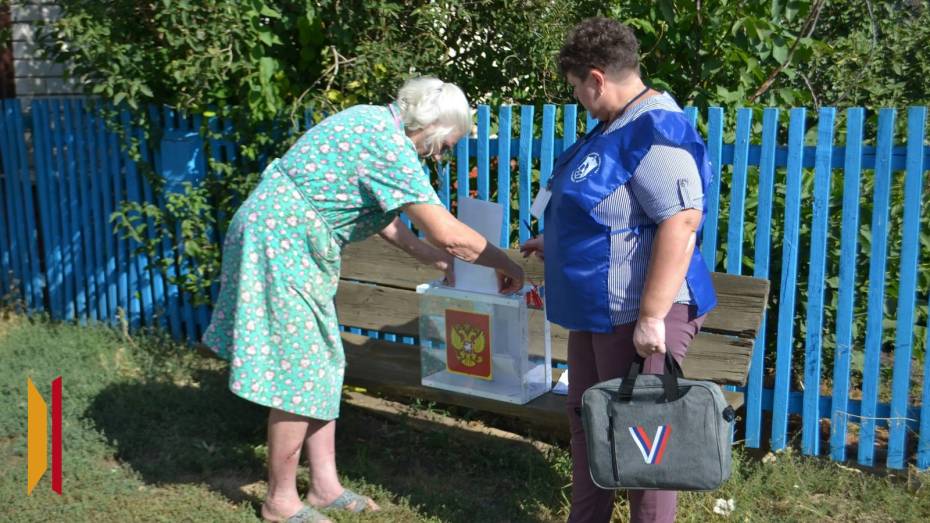 В Воронежской области начался прием заявлений для голосования на дому