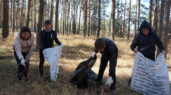 В Верхнемамонском районе пройдет месячник благоустройства