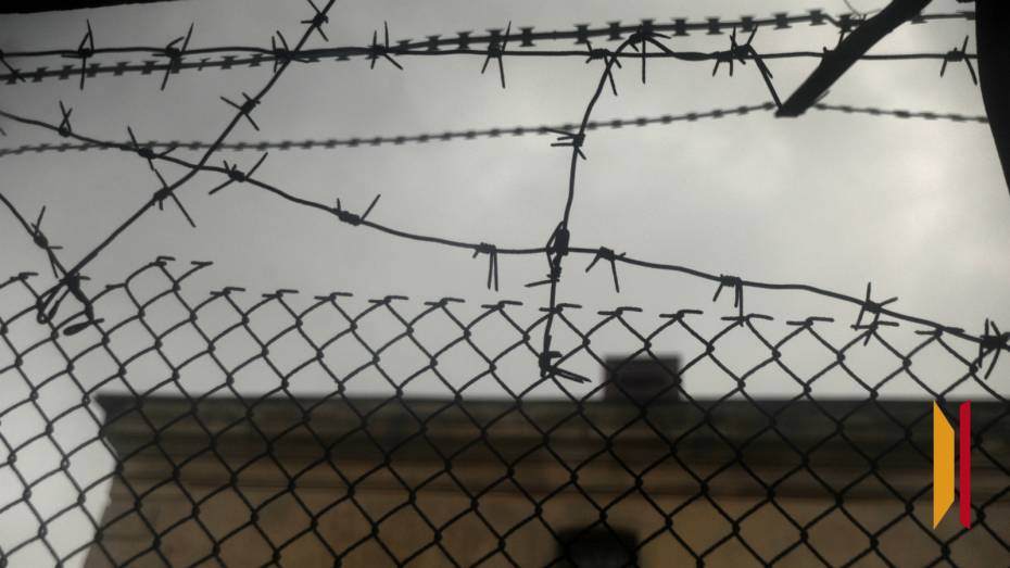 В Воронеже директору УК дали 2 года колонии общего режима за гибель 19-летней девушки от упавшего дерева