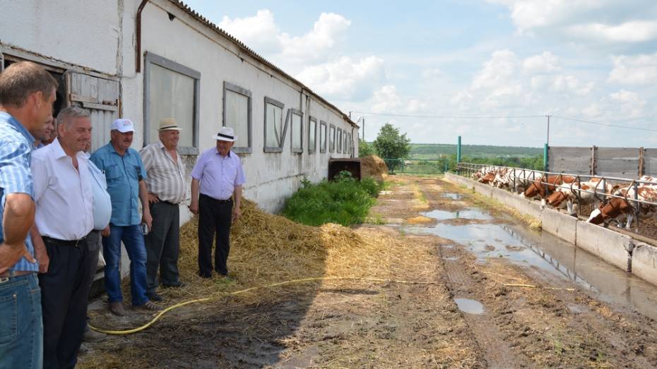 Богучарская ферма полного цикла начнет производство колбас и сарделек