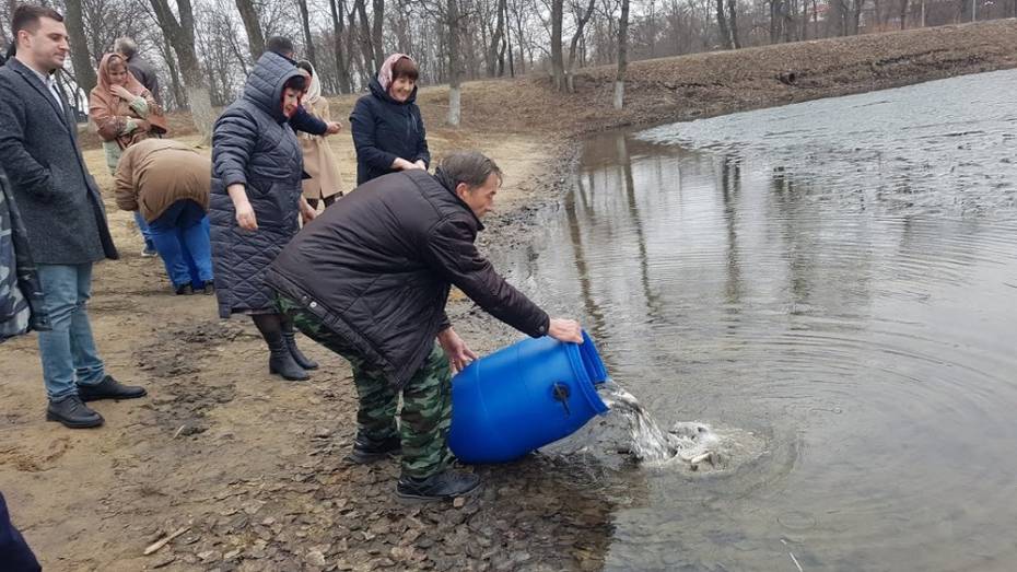 В новоусманском поселке Отрадное в пруд выпустили 20 кг мальков толстолобика