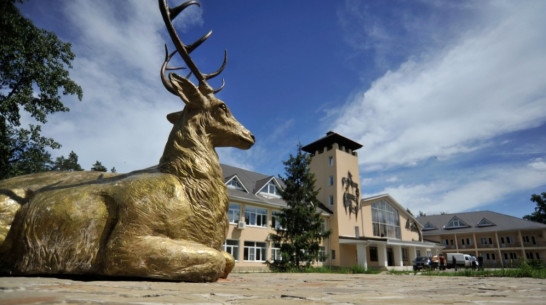 В Воронежском заповеднике откроется новая гостиница
