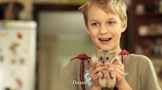 Воронежцев приглашают на сеанс фестивальных короткометражек в воскресенье