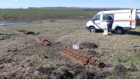 В Воронежской области взрывотехники уничтожили 114 боеприпасов