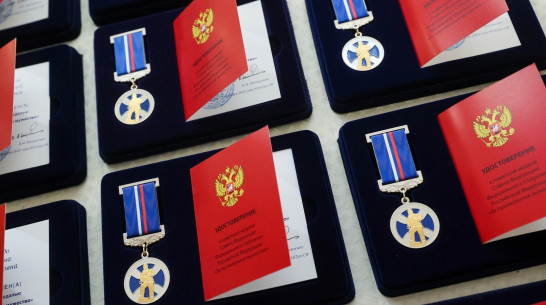 Воронежского школьника наградили медалью за спасение тонувших друзей