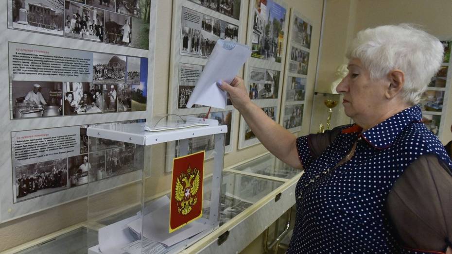 В Воронежской области началось голосование на выборах в органы местного самоуправления