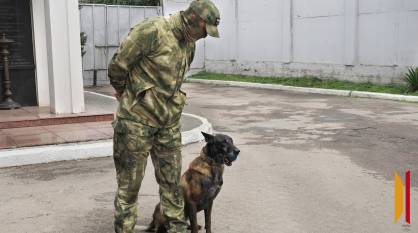 «Нашел в подвале боеприпасы ополченцев»: как собаки Росгвардии по Воронежской области несут службу в зоне боевых действий