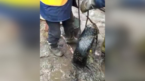В Воронеже из канализации достали автомобильную шину