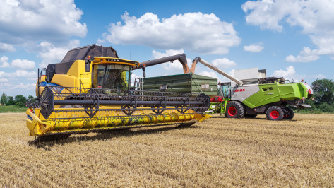 «Продимекс» рассказал об уборочной кампании нового сезона в Воронежской области