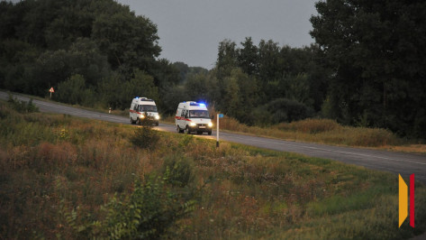 В Воронежской области за 2025 год в ДТП погибли 13 детей