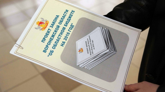 Воронежская облдума утвердила бюджет региона на 2016 год