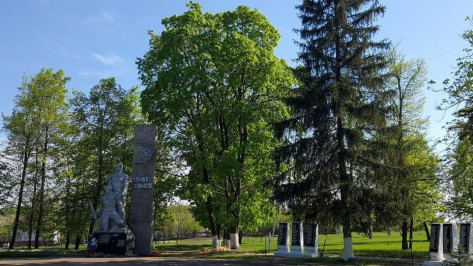 В подгоренском селе Белогорье реконструируют парк